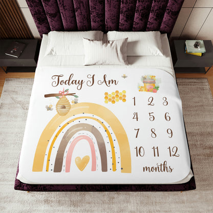honeybee milestone blanket, newborn photo prop, photography baby background, rainbow milestone blanket